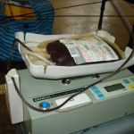 blood_drive03
