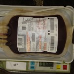blood_drive10